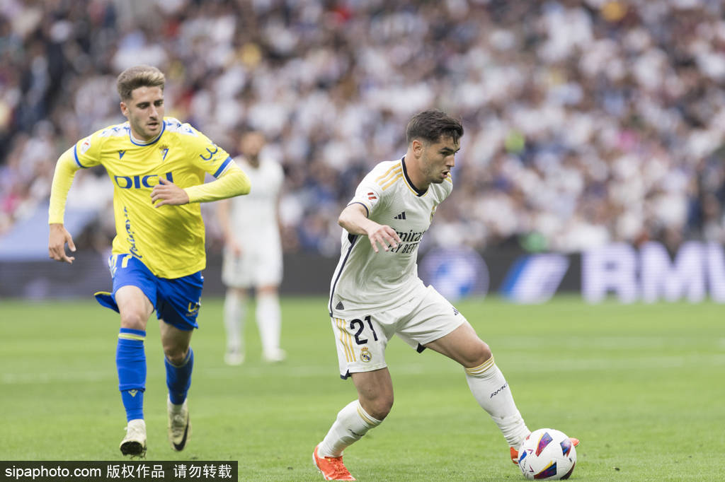 尽管早早落 尽管早早落